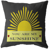 YOU ARE MY SUNSHINE PILLOW (GRAY)