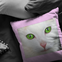 White Kitten Pillow